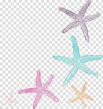 Five assorted starfish , Coral Starfish Computer Icons , watercolor star transparent background PNG clipart