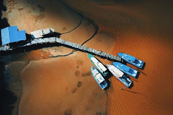 Five Blue-and-white Boats in Port