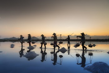 Five Men Walking in Line Carrying Baskets during Golden Hour