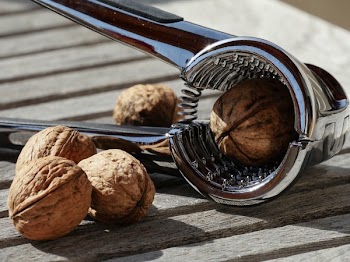 Five Nuts and Stainless Steel Nutcracker