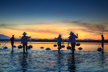Five Person Standing Near Body of Water