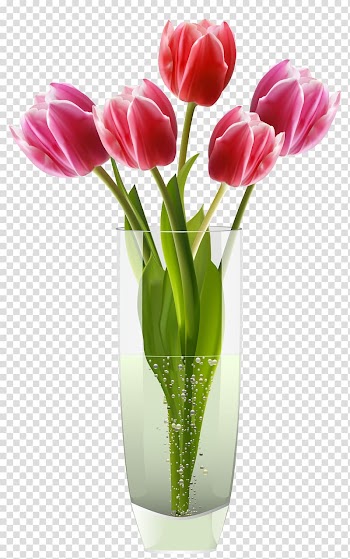 Five pink flowers in vase illustration, Tulip vase Tulip vase Flower, Pink Red Tulips Vase transparent background PNG clipart