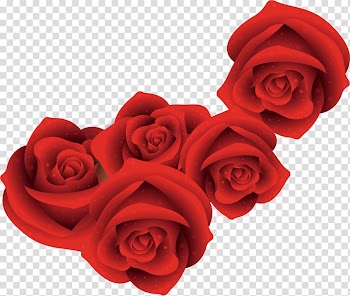 Five red roses illustration, Red Roses transparent background PNG clipart