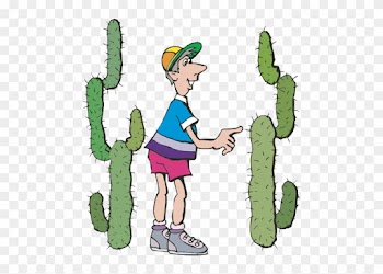 Five Senses Facts Science Trek Idaho Public Television - Sense Of Touch Clipart