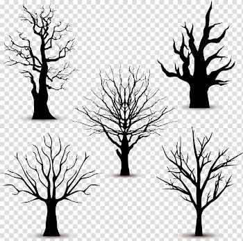 Five silhouette trees, Tree Silhouette Euclidean , 5 black trees without leaves transparent background PNG clipart