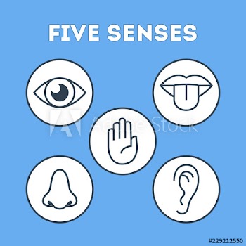 Five types of human sense concept illustration