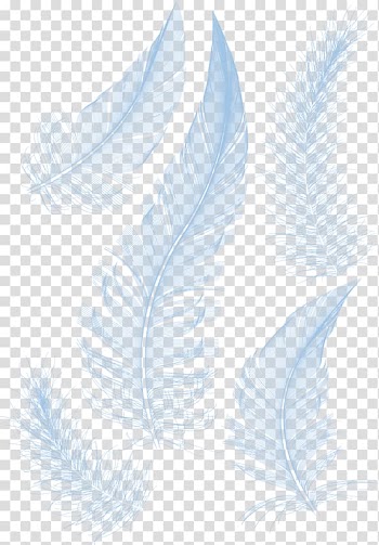 Five white feathers illustration, White feather White feather, White feathers transparent background PNG clipart