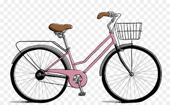 Fixed-gear bicycle Pure Cycles Bicycle Frames Mountain bike - flower bikes 