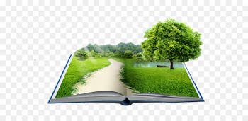 Fixed-rate mortgage Natural environment Mortgage loan JSC Federal Credit Union - Grass trees in books 