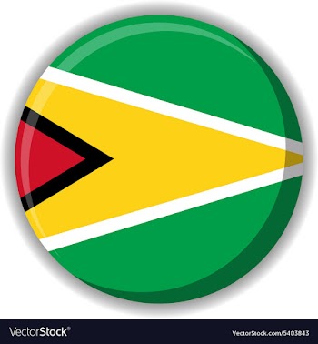 Flag icon vector image