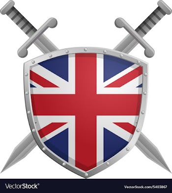 Flag icon vector image