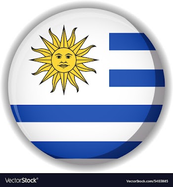 Flag icon vector image