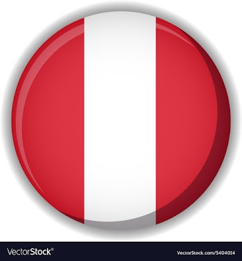 Flag icon vector image