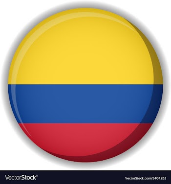 Flag icon vector image