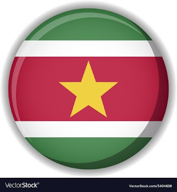 Flag icon vector image