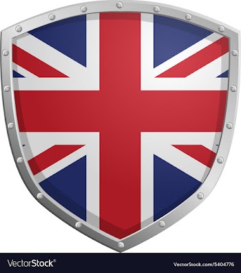 Flag icon vector image