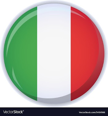 Flag icon vector image