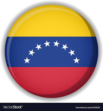 Flag icon vector image