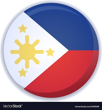 Flag icon vector image