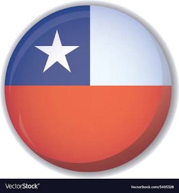 Flag icon vector image