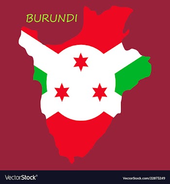 Flag map of burundi vector image