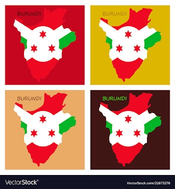 Flag map of burundi vector image