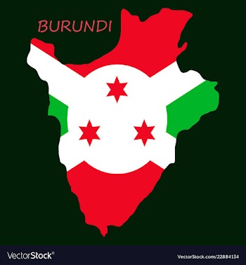 Flag map of burundi vector image