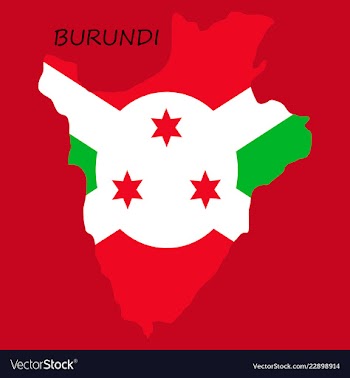 Flag map of burundi vector image