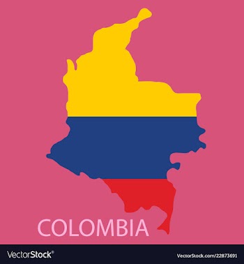 Flag-map of colombia vector image