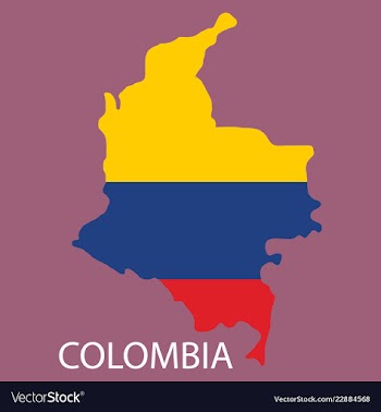 Flag-map of colombia vector image