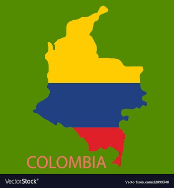 Flag-map of colombia vector image