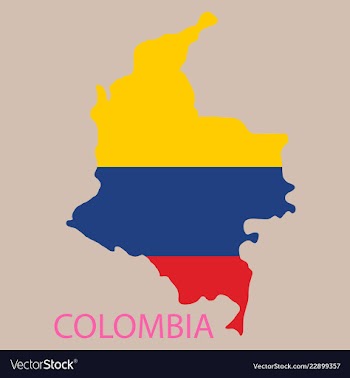 Flag-map of colombia vector image