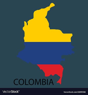 Flag-map of colombia vector image