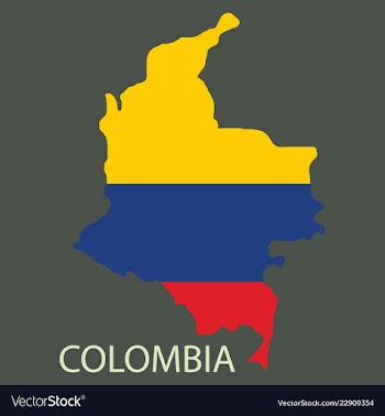 Flag-map of colombia vector image