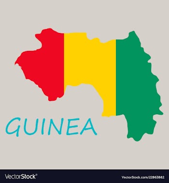 Flag map of guinea vector image