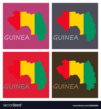 Flag map of guinea vector image