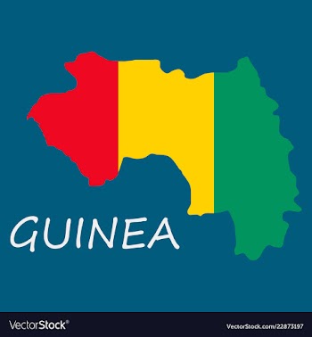 Flag map of guinea vector image