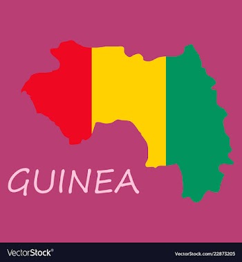 Flag map of guinea vector image