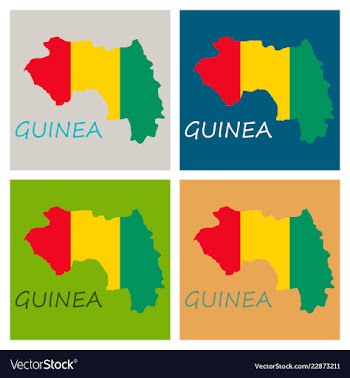 Flag map of guinea vector image