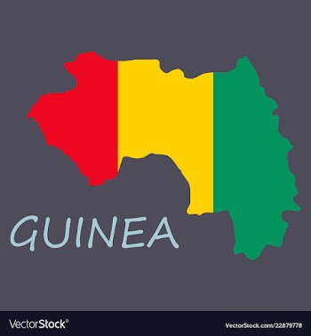 Flag map of guinea vector image
