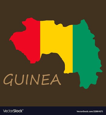 Flag map of guinea vector image