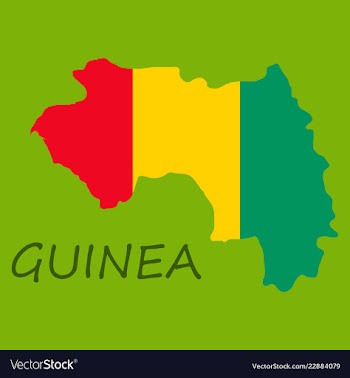 Flag map of guinea vector image