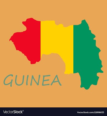 Flag map of guinea vector image