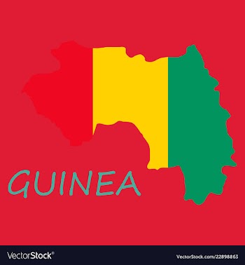 Flag map of guinea vector image