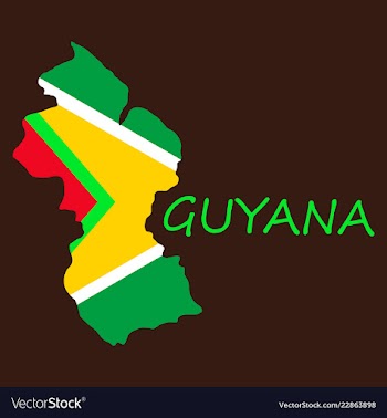 Flag map of guyana vector image