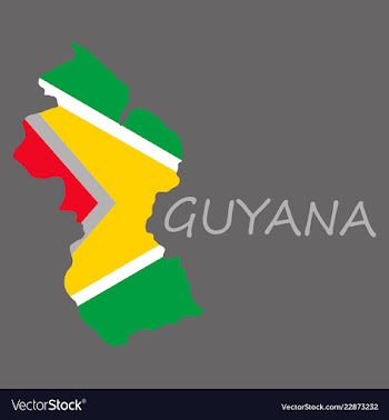 Flag map of guyana vector image
