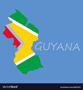 Flag map of guyana vector image