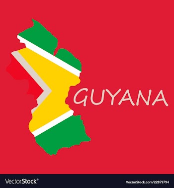Flag map of guyana vector image
