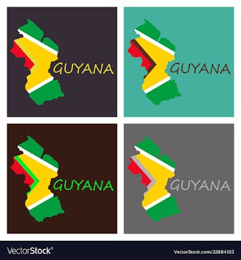 Flag map of guyana vector image