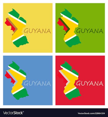 Flag map of guyana vector image